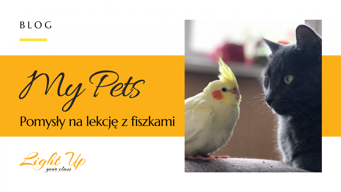 lekcja o zwierzętach