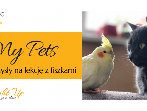 lekcja o zwierzętach